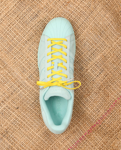 Lemon Flat (Yellow) - 12 cm / Yellow