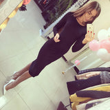 New Arrival 2016 Autumn Dress Long Sleeve T-shirts Solid Color  MIDI Tight Sexy Fashion Women's Dress